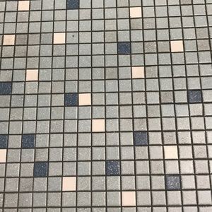 Meet your Posher, Janis